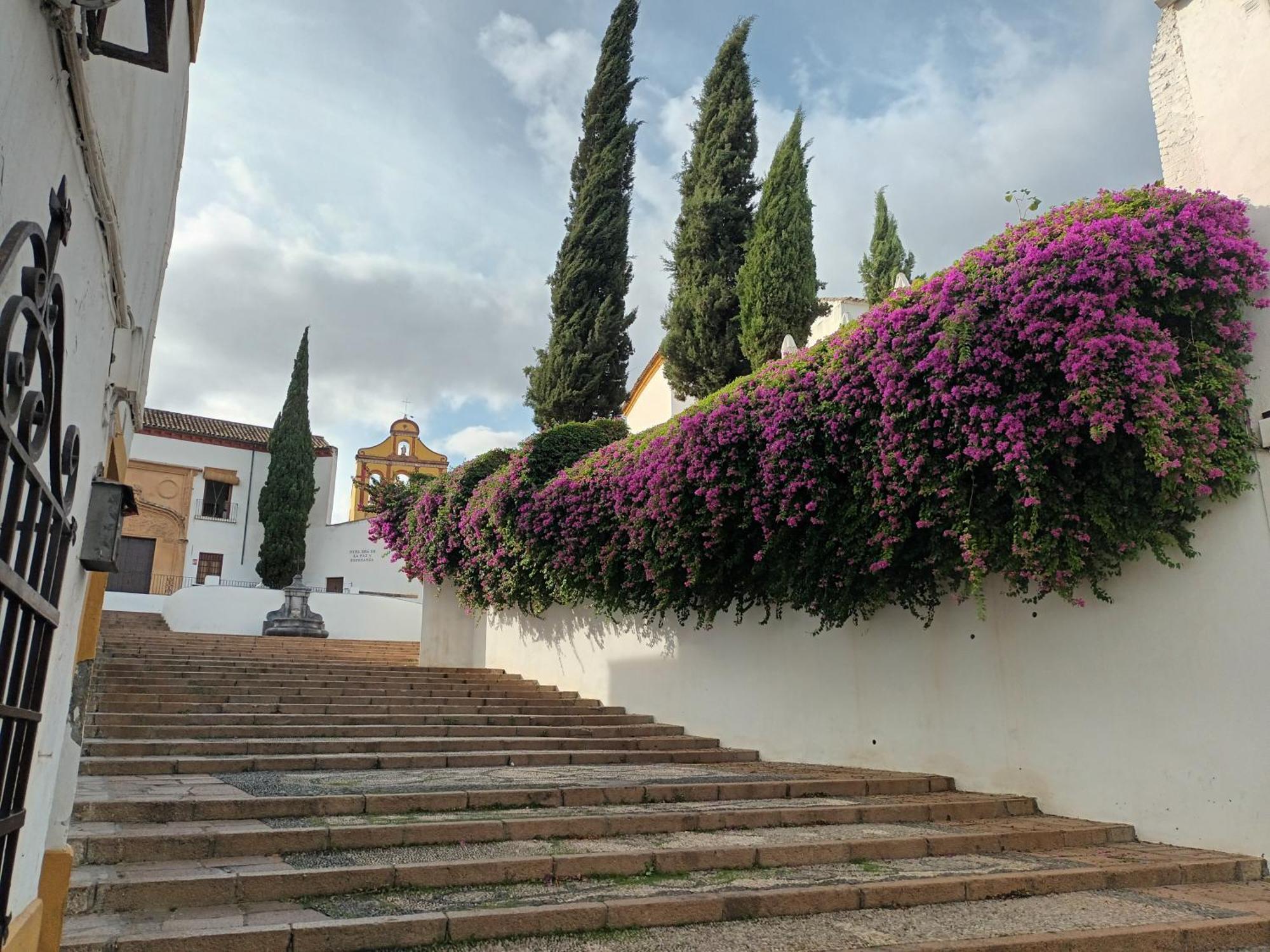 コルドバCasa San Mateoアパートメント エクステリア 写真